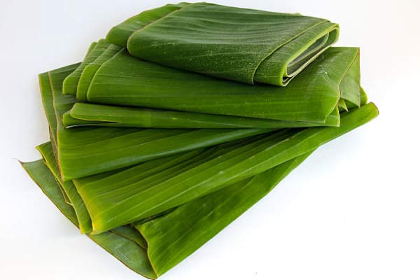 hoja-de-platano hoja de platano